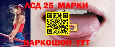 индика Лесосибирск