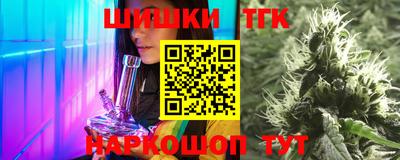 индика Лесосибирск