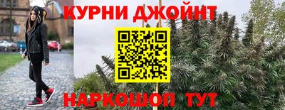 индика Лесосибирск