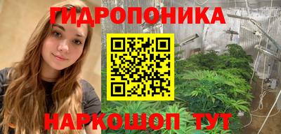 индика Лесосибирск