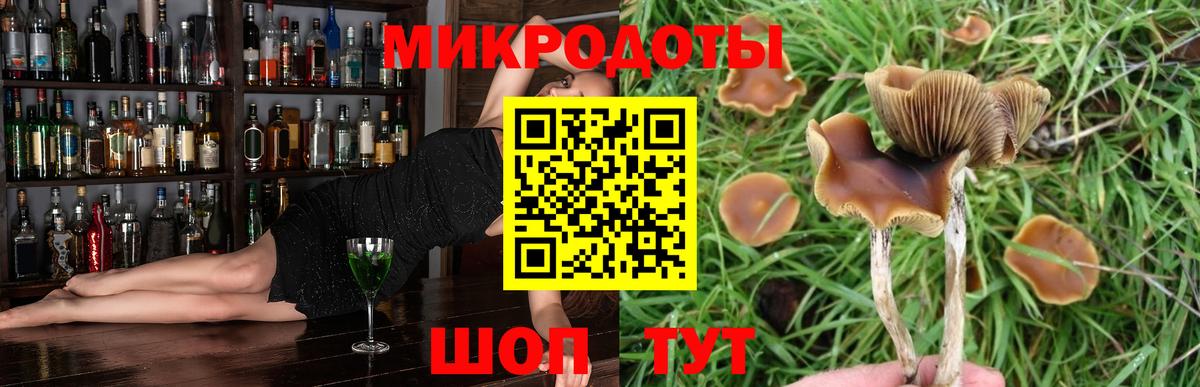 Галлюциногенные грибы Cubensis Волжский
