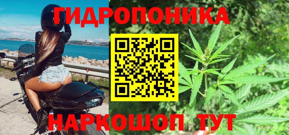 Каннабис индика  МАРИХУАНА ГИДРОПОН  Вход с VPN  Волжский  Каннабис VHQ 